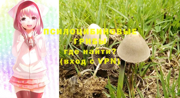 амф Абаза